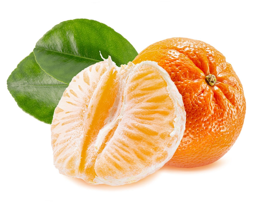 نهال نارنگی فلسطینی